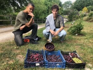 Work experience students